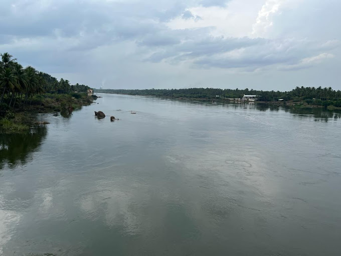 Rejuvenating lakes at the Cauvery Delta